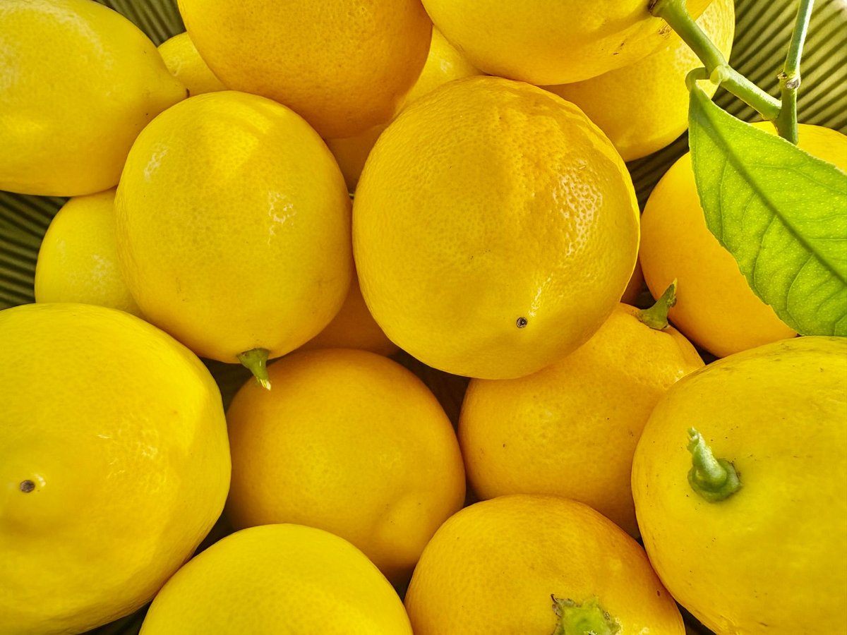 🍋 레몬 손질