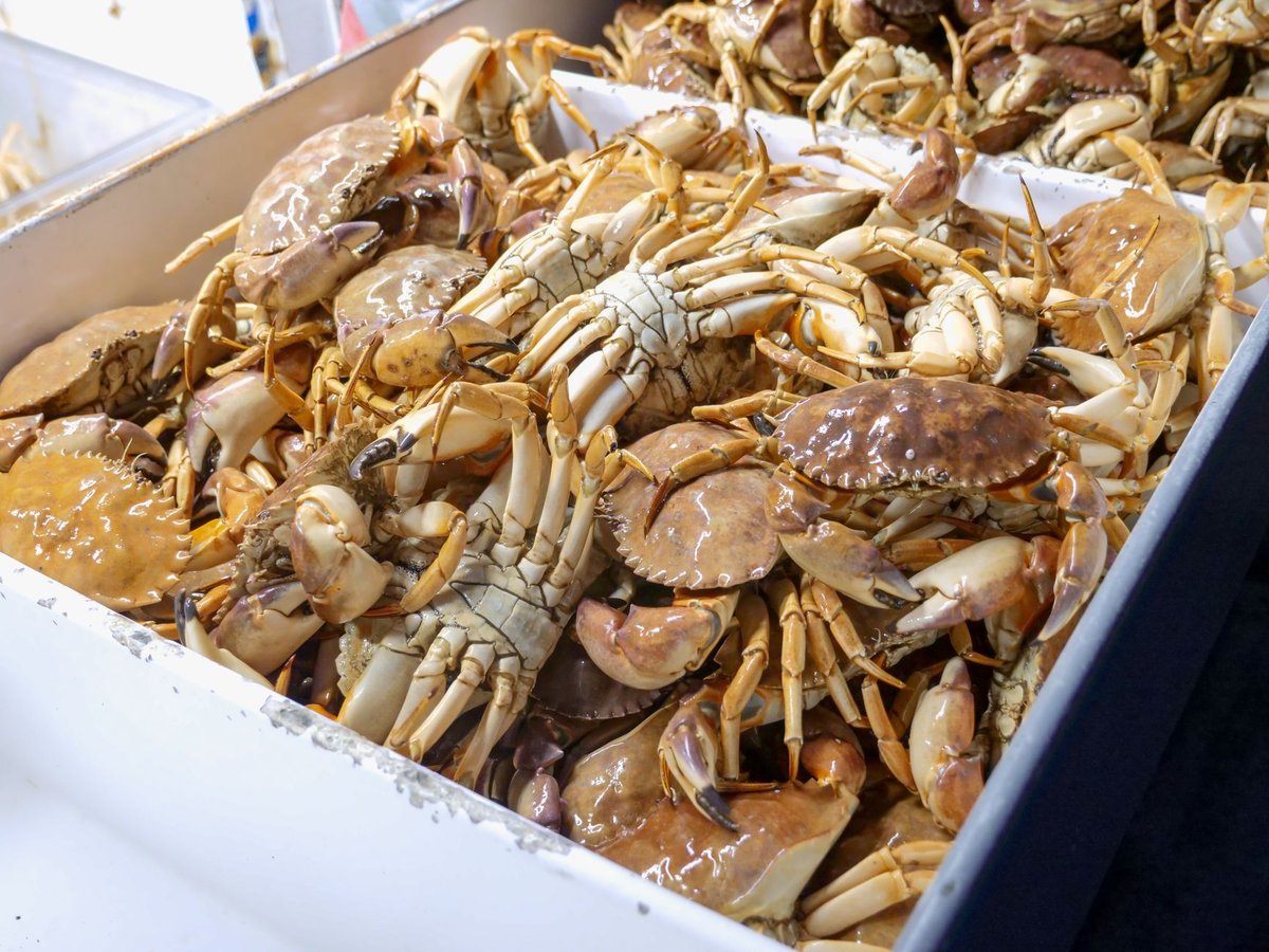 🦀 손질