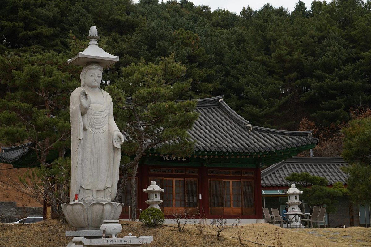 Buddha Birthday Korea 2026 Temple Drive Route Top 5 Parking Guide - 주변 환경