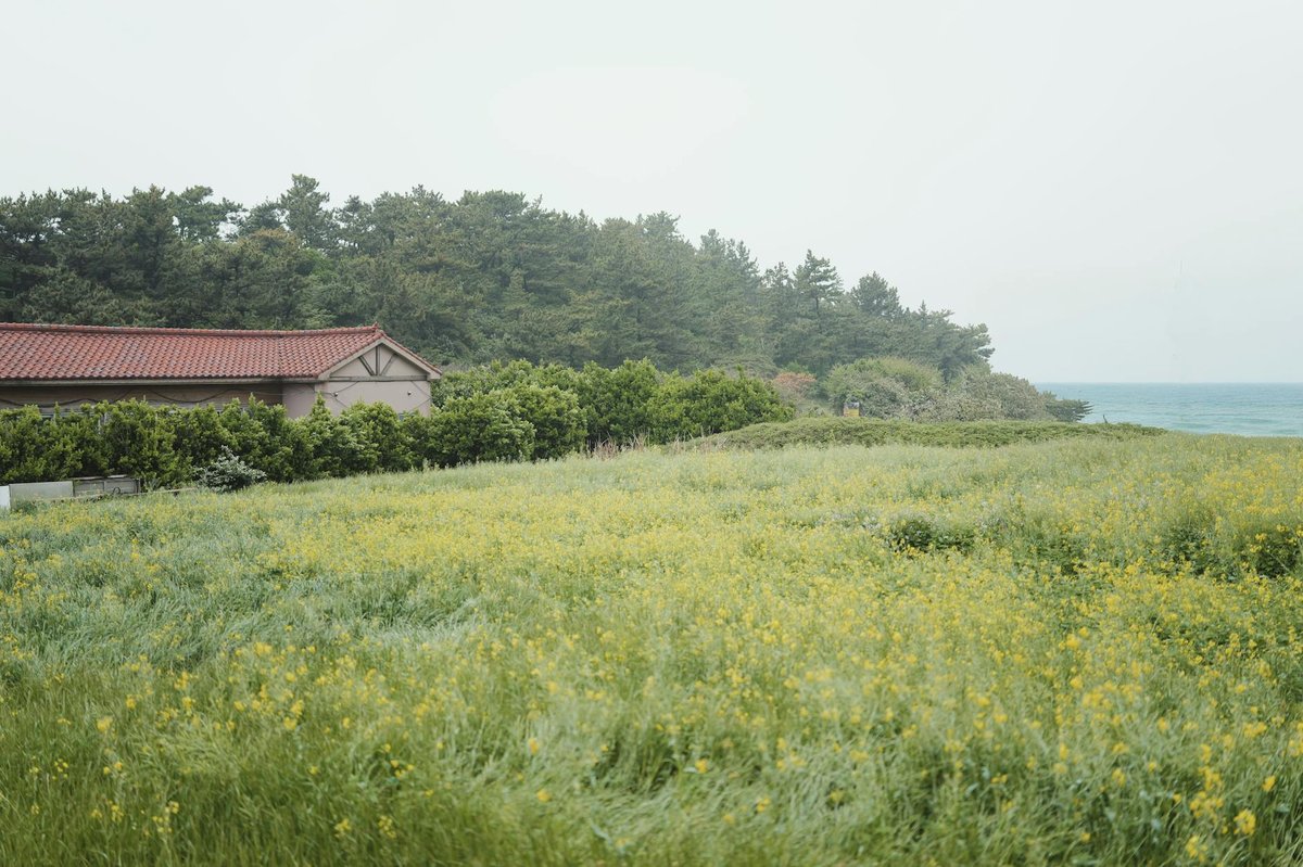 제주도 장마 시기 특징 2026 날씨 완벽 정리 - 제품/핵심 정보