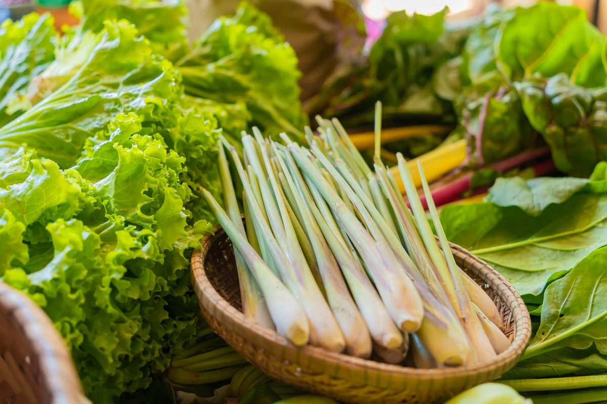 🥬 손질