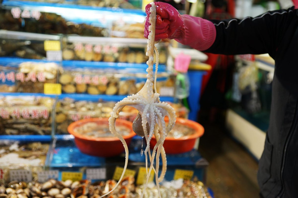 🐙 손질&middot;양념