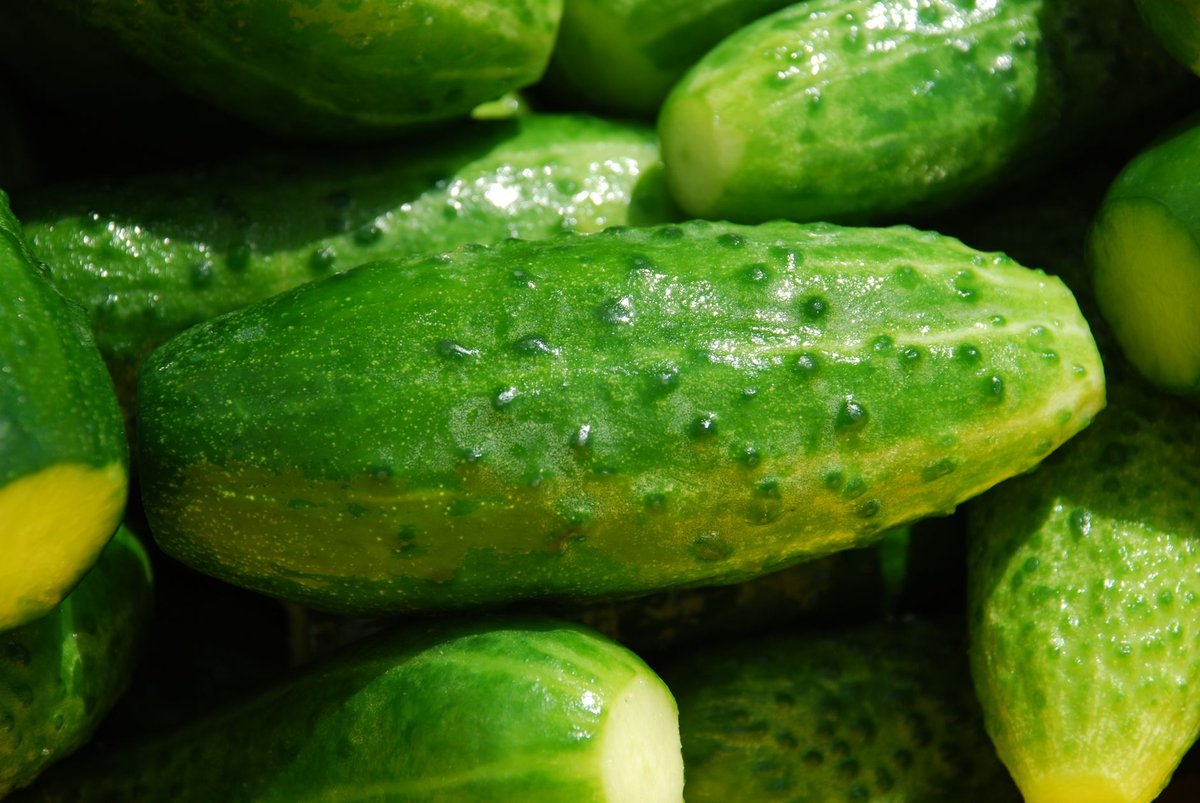 🥒 재료·준비