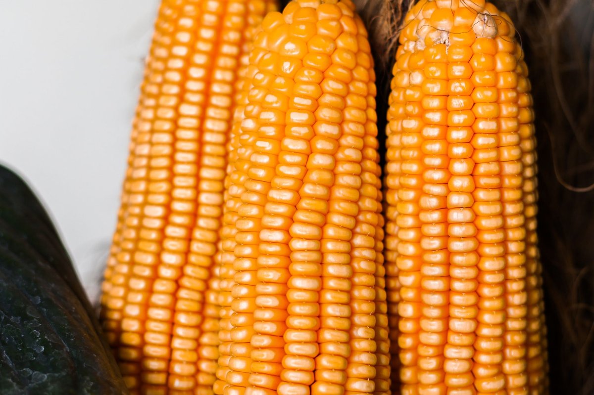 🌽 재료&middot;준비