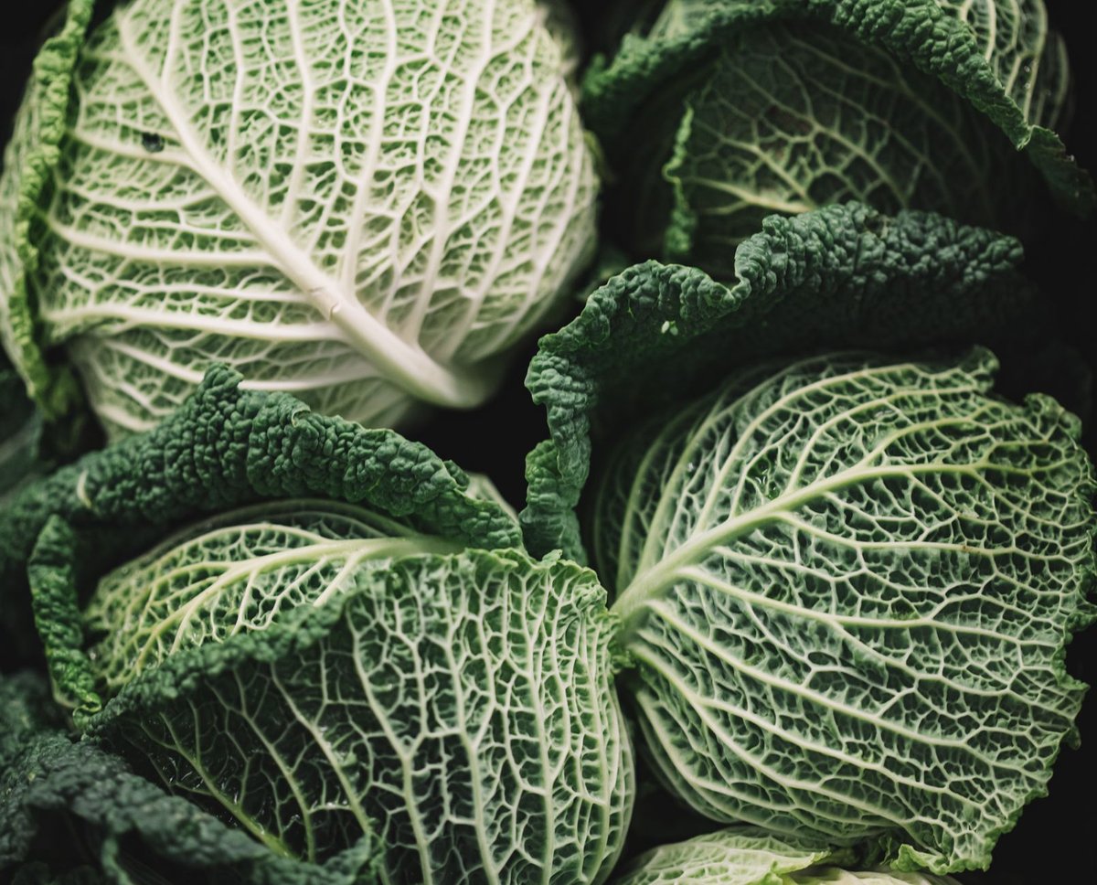 🥬 배추 준비